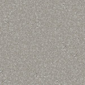 Forest Snow Silestone